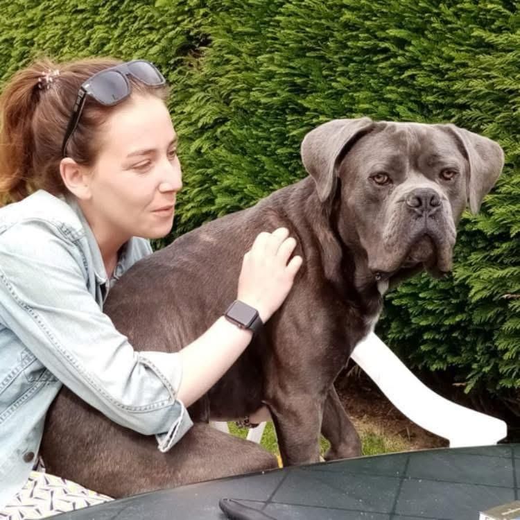 Éducatrice avec un chien en nature